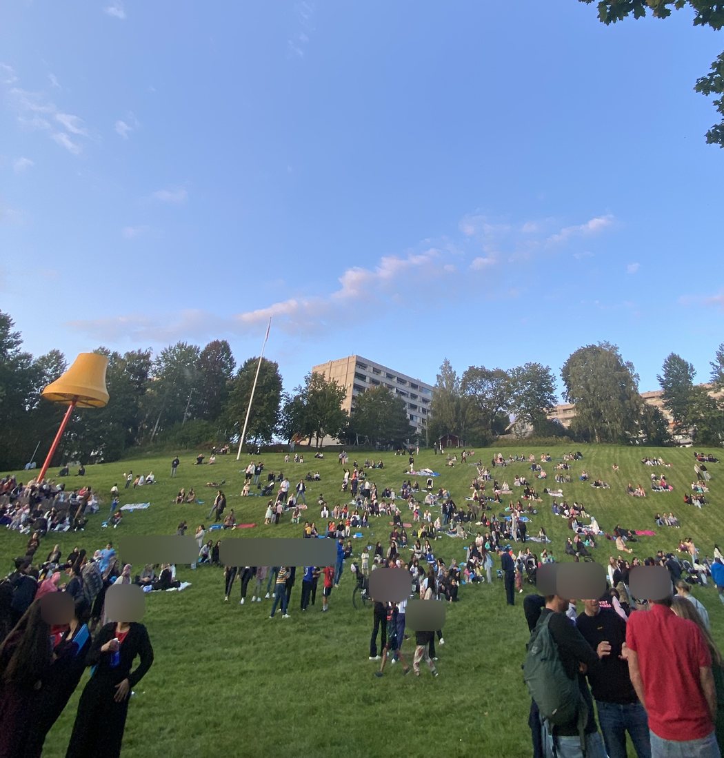 Mange mennesker sitter i en gressbakke en sommerkveld og venter på utekino