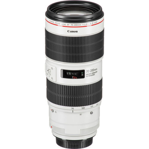Canon 5DIV + 70-200mm f/2.8 | Lightchasers Rentals