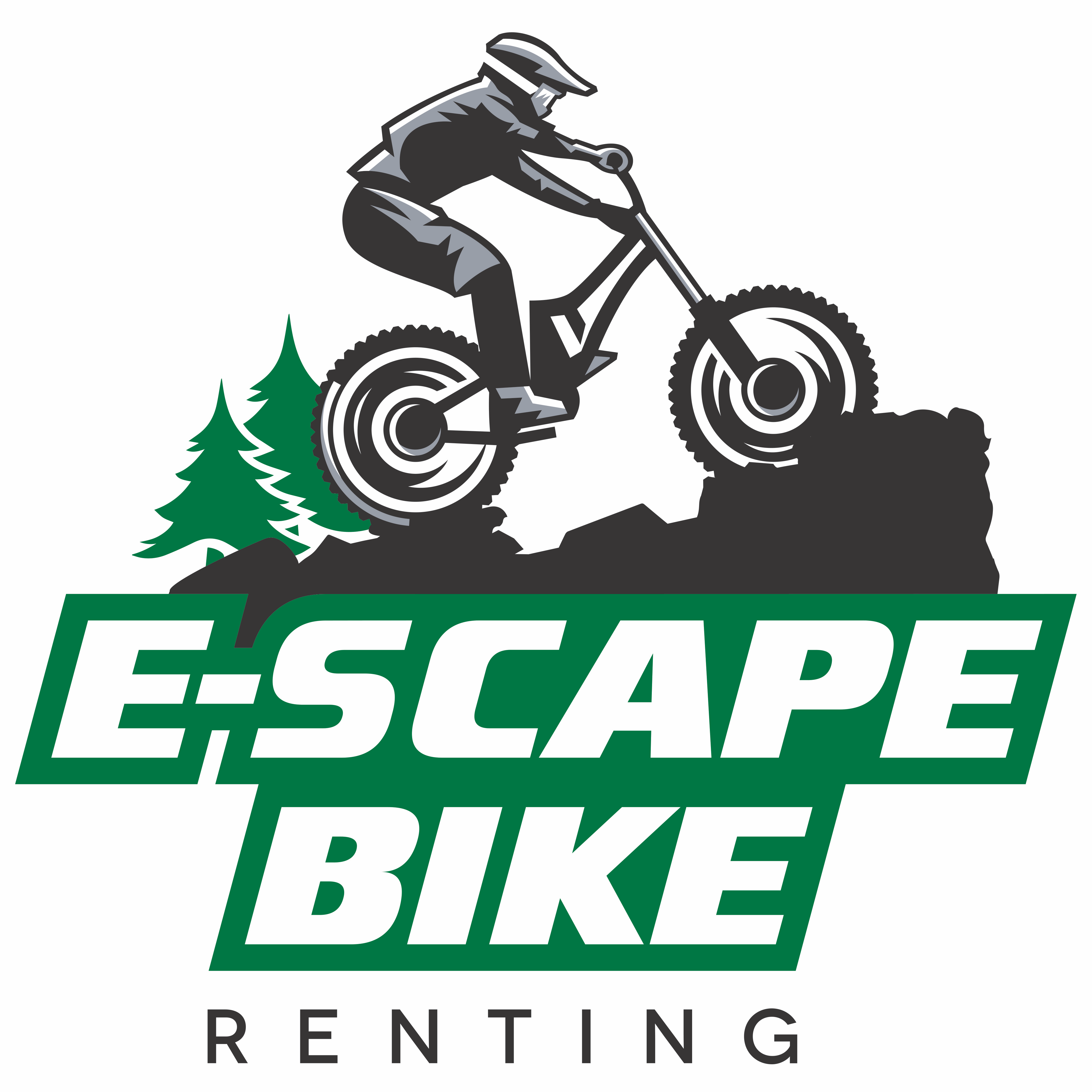E-Scape Bike