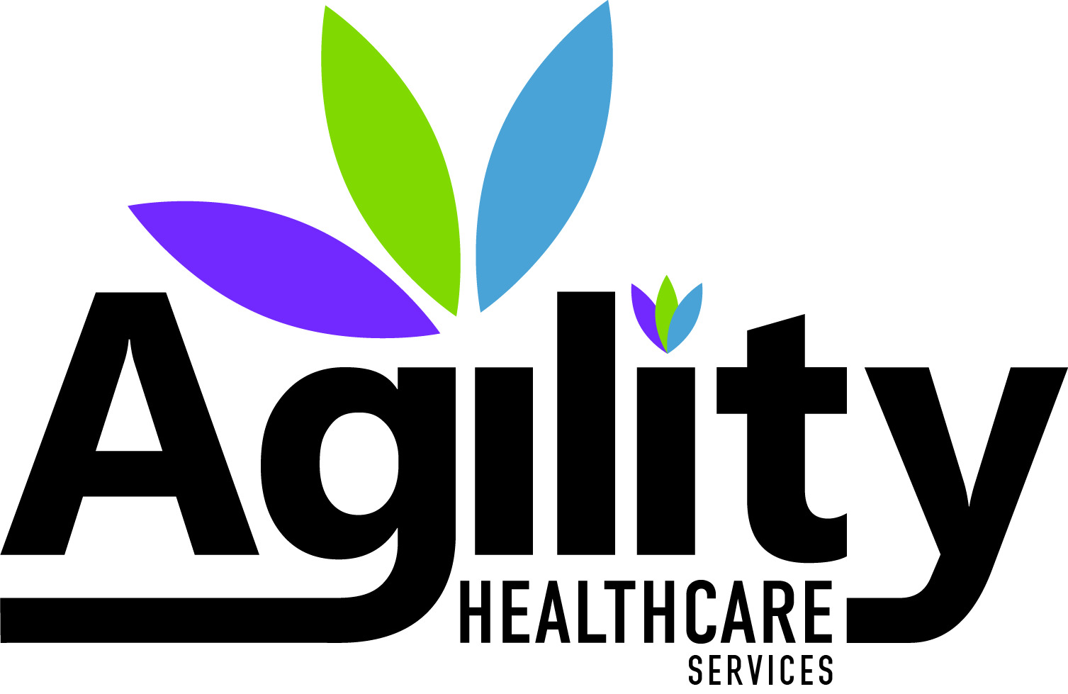Agility Healthcare Services Pty Ltd