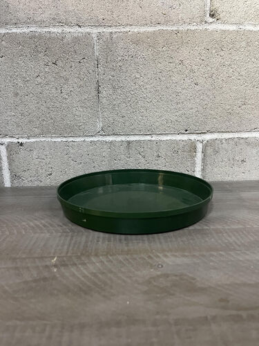 10" Green saucer 