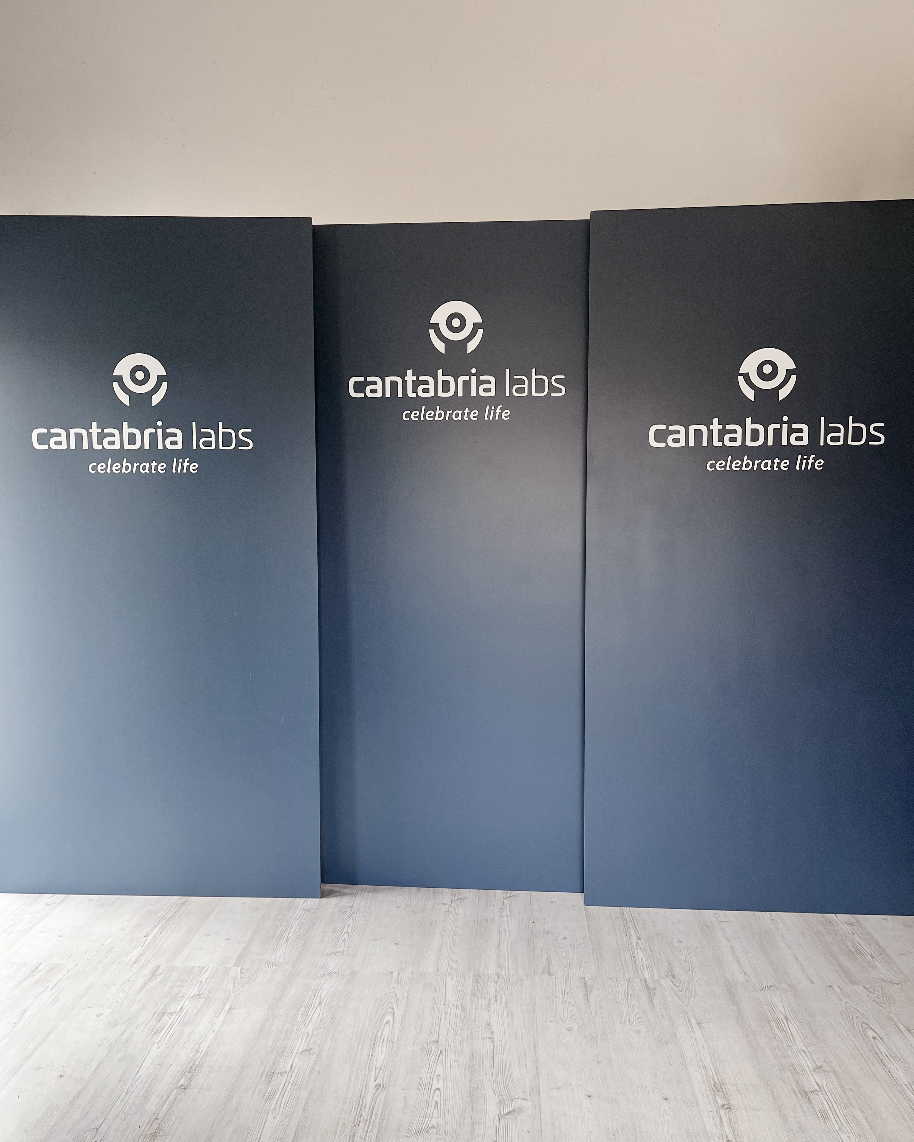 3 x CUSTOM COLOR MINIMAL backdrop | VELVET