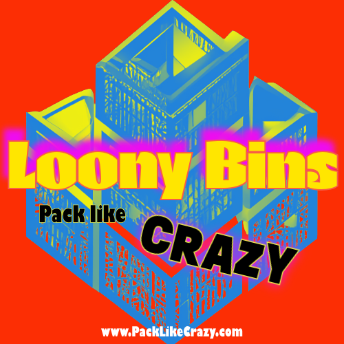 Loony Bins