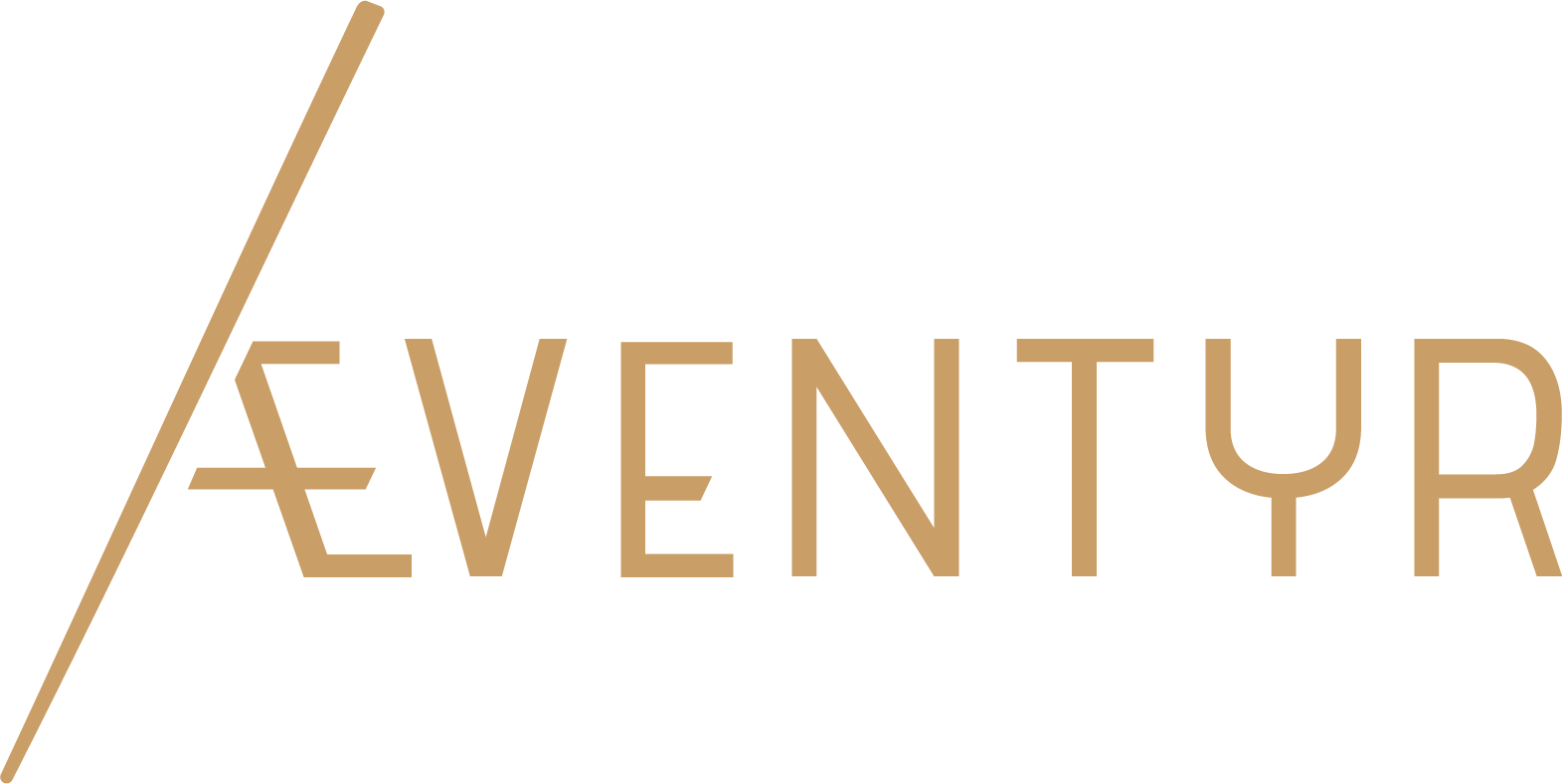 Æventyr1 AS