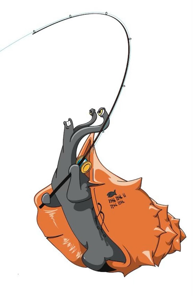 Fighting Conch Kayak Rentals - eBike shop in Port St Joe, FL