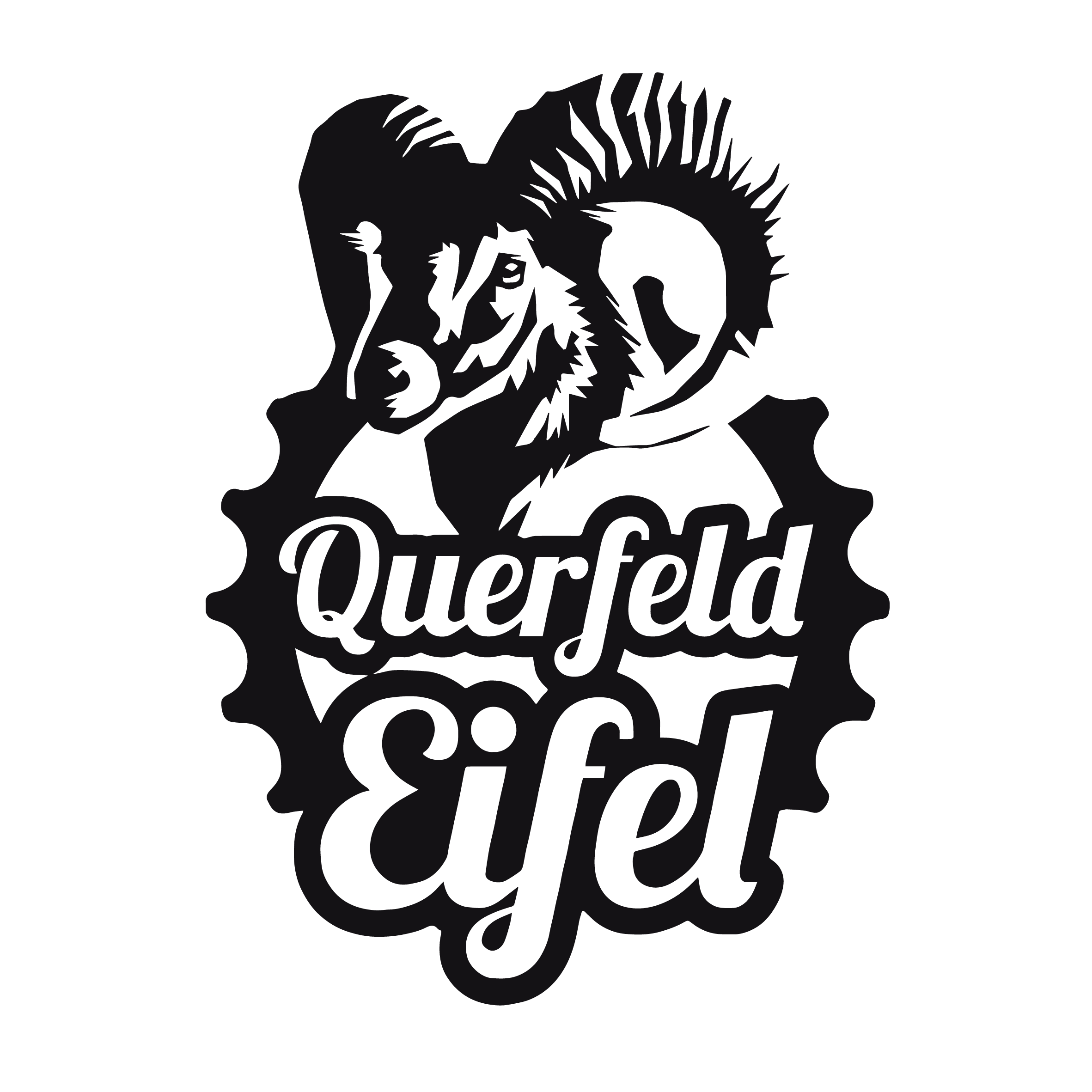 QuerfeldEifel Fahrradwerkstatt und EBike Verleihstation