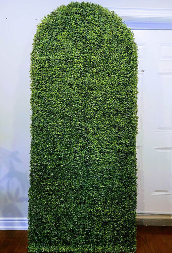 Green Panel Backdrop