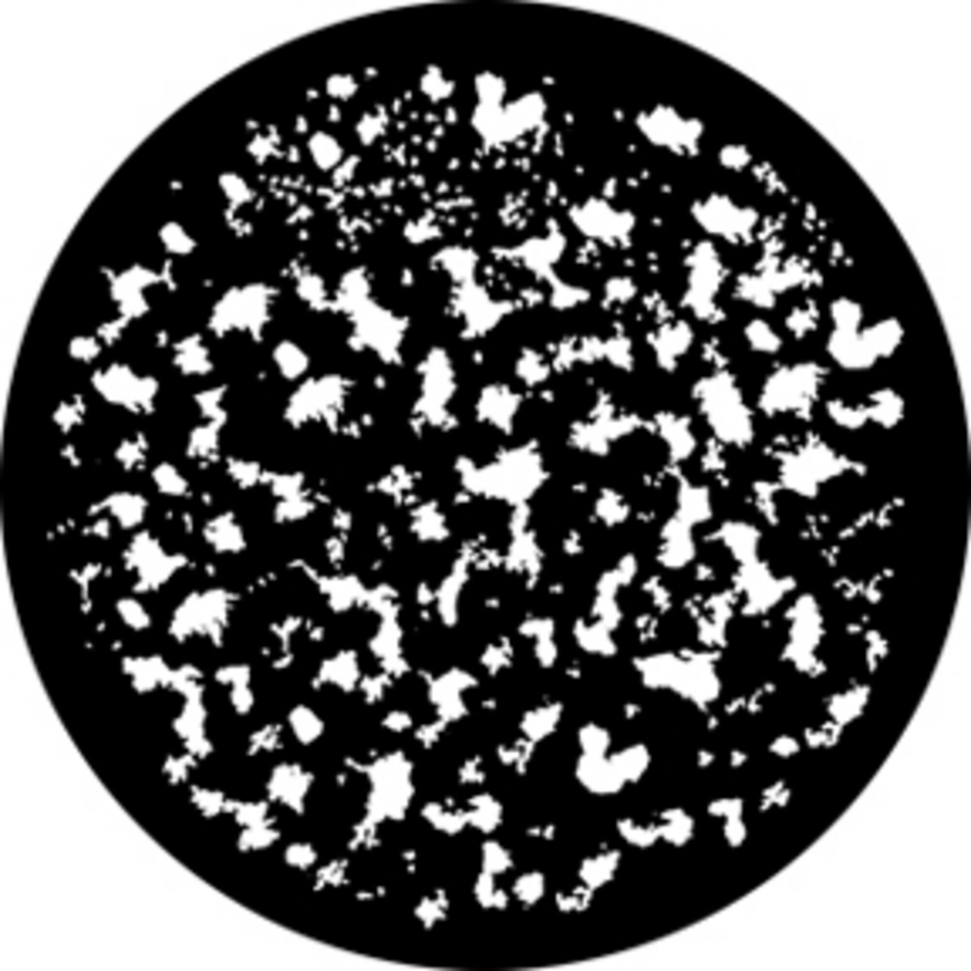 Rosco Standard Steel Gobo #76596 - Sponge Texture