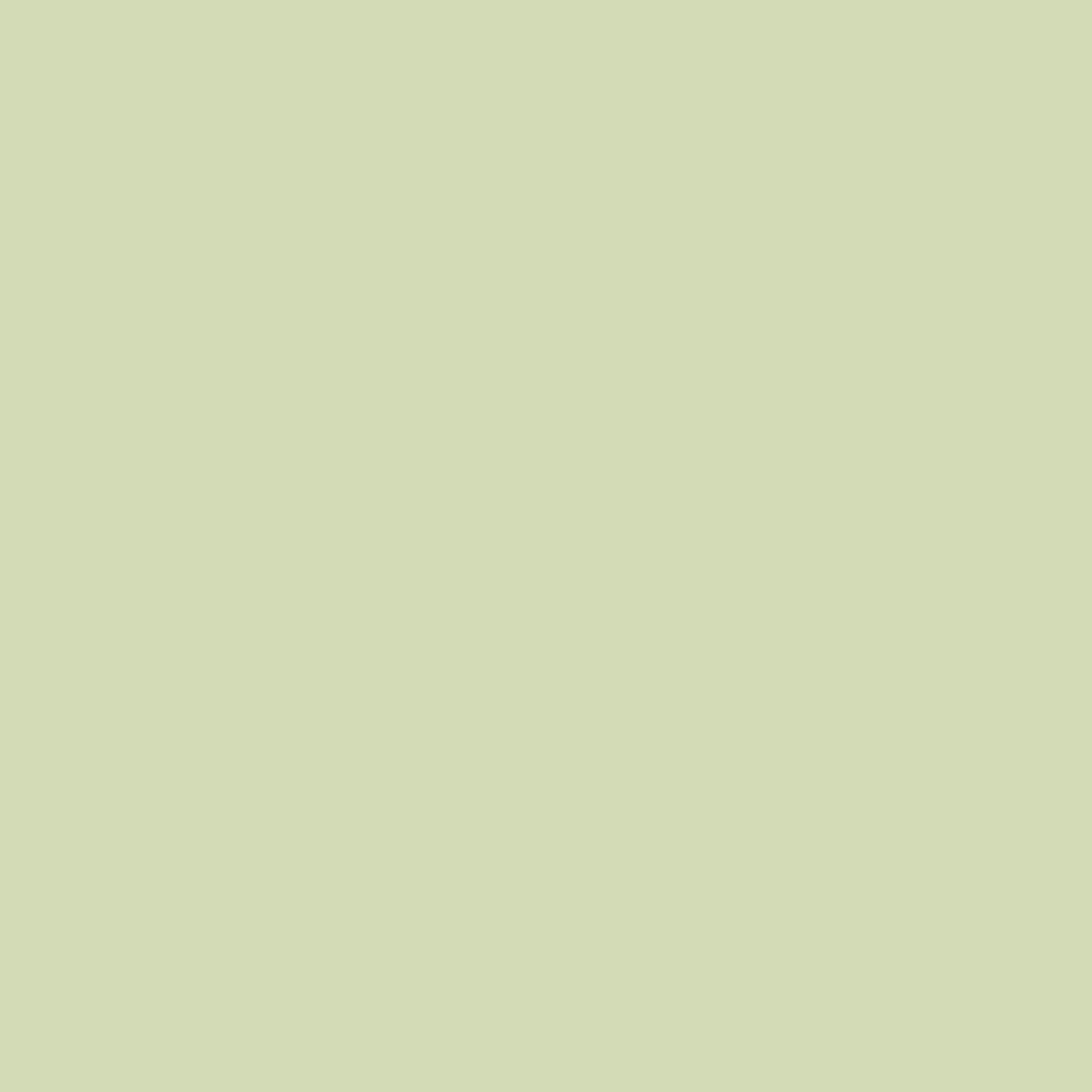 Meter: Rosco #245 - Plus Green 1/2