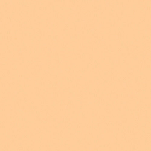 Meter: Rosco #442 - CTS 1/2
