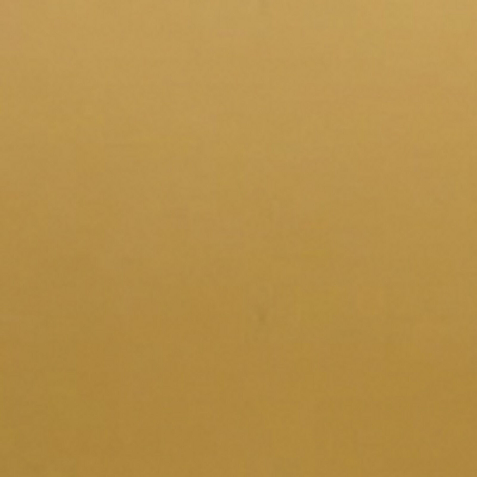 Meter: Rosco #274 - Gold Mirror