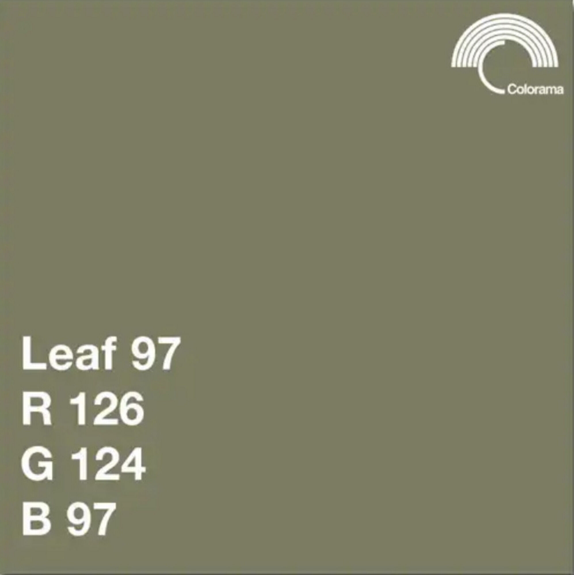 Colorama #197 Leaf 2.72x11m