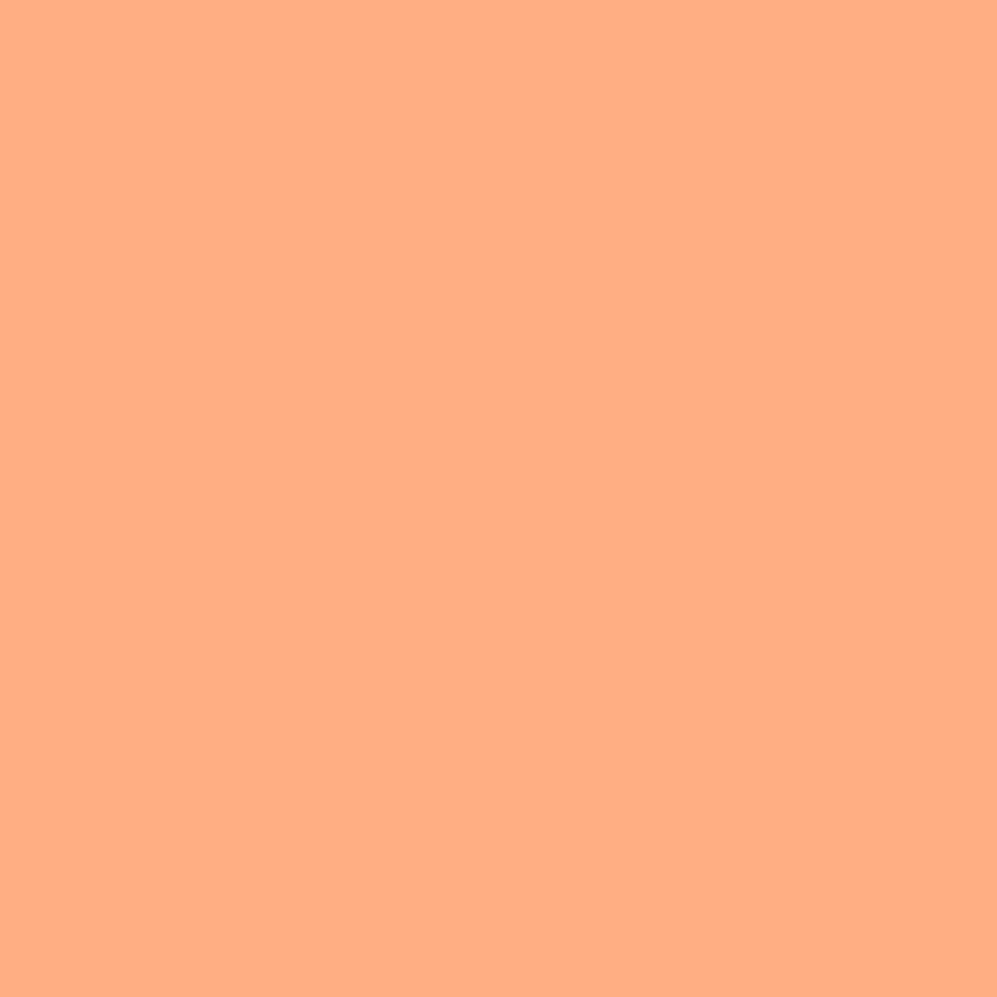 Meter: Rosco #108 - English Rose