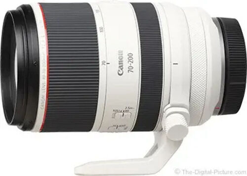 Canon RF 70-200mm f/2.8L - 1 Day Rental