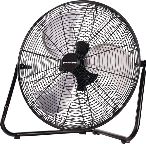 Fan
