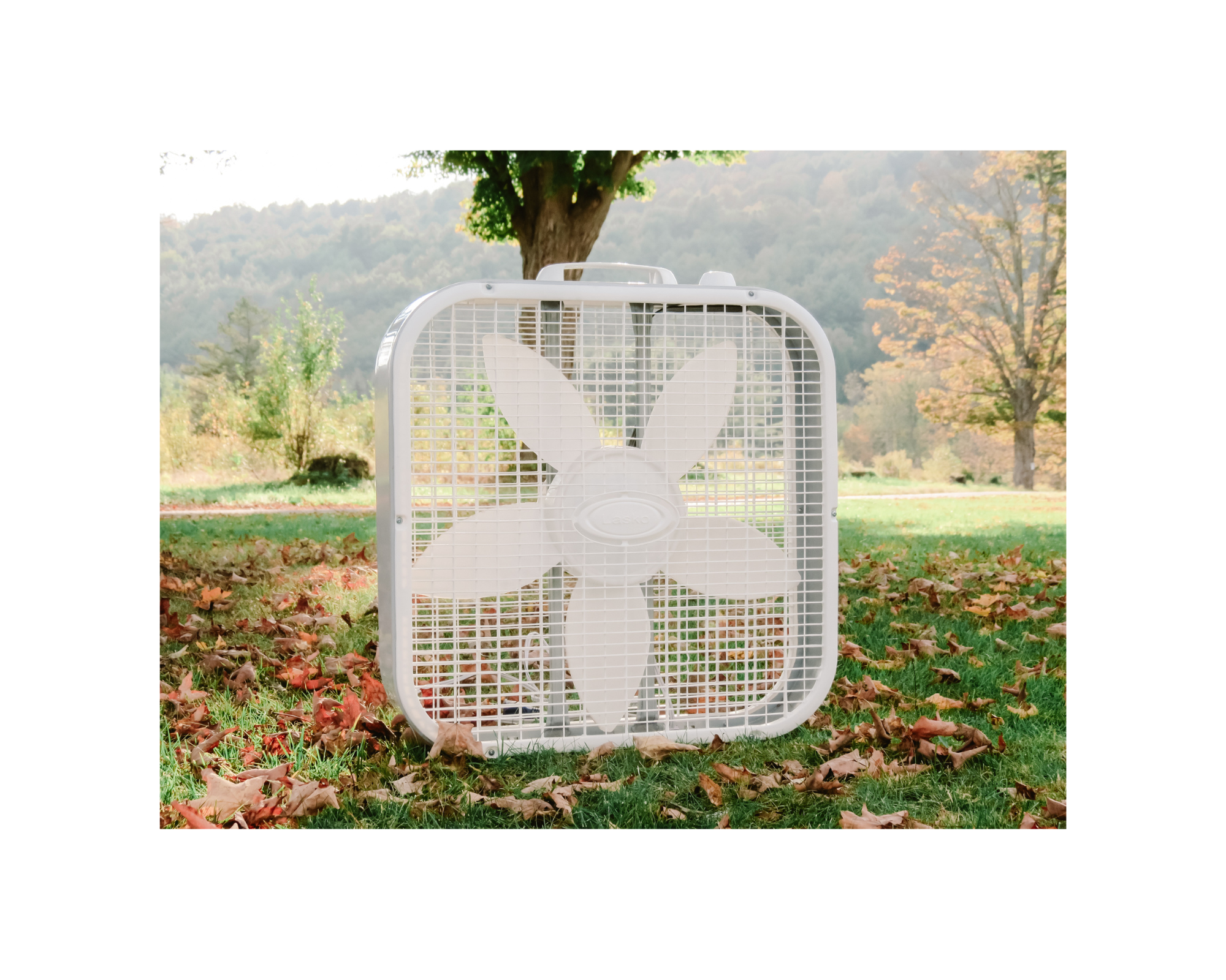 Rent Box Fans | Oneonta, NY | Triple Play Rentals | Cooperstown