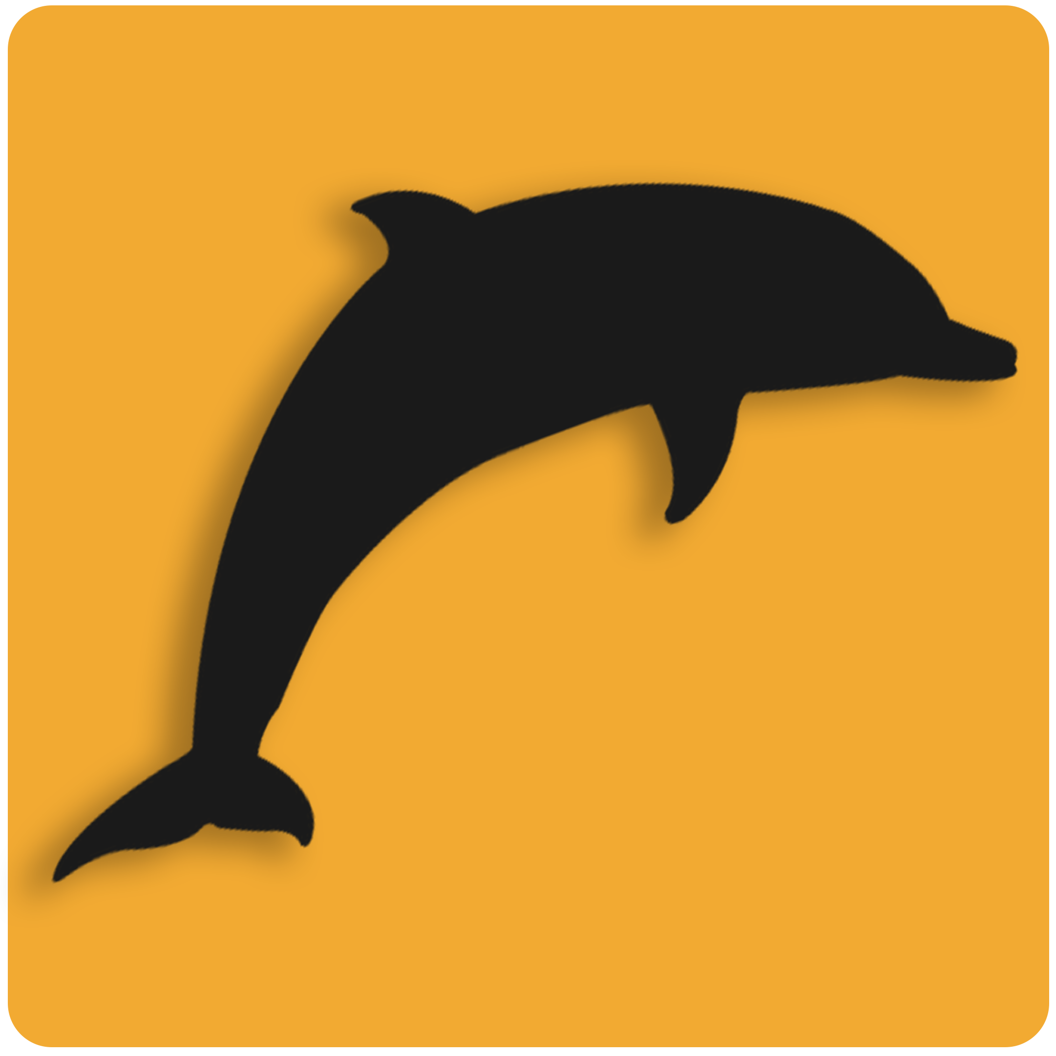 Black Dolphin Rentals