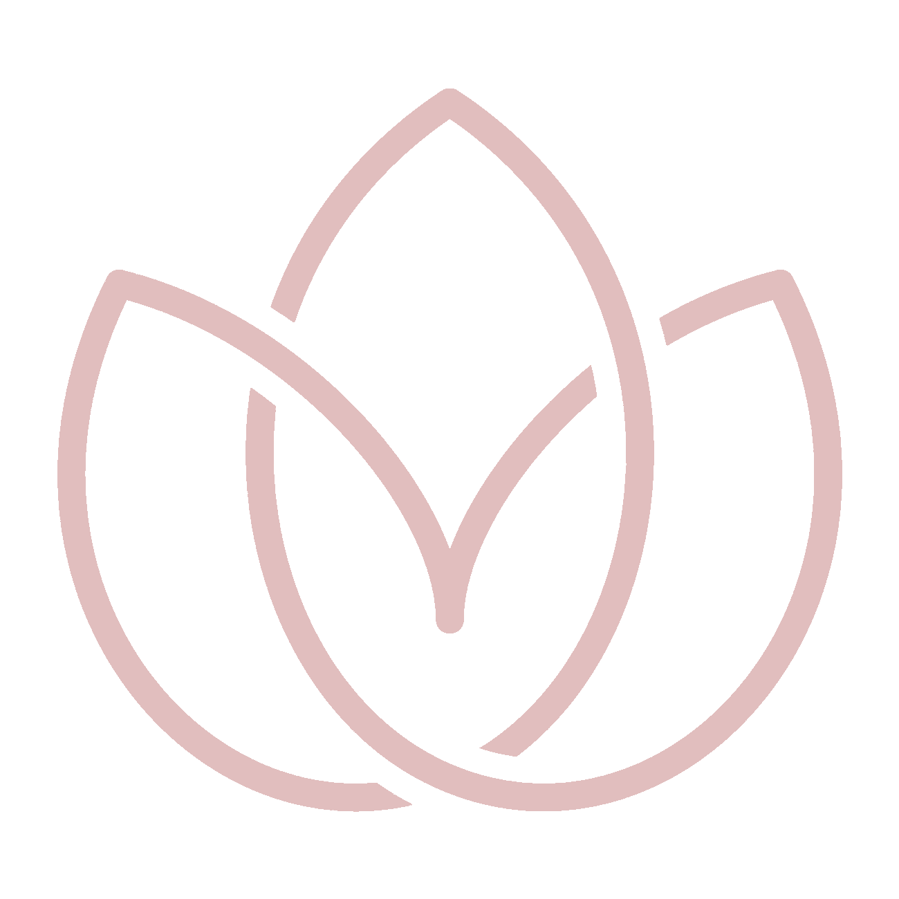 Lotus Showroom