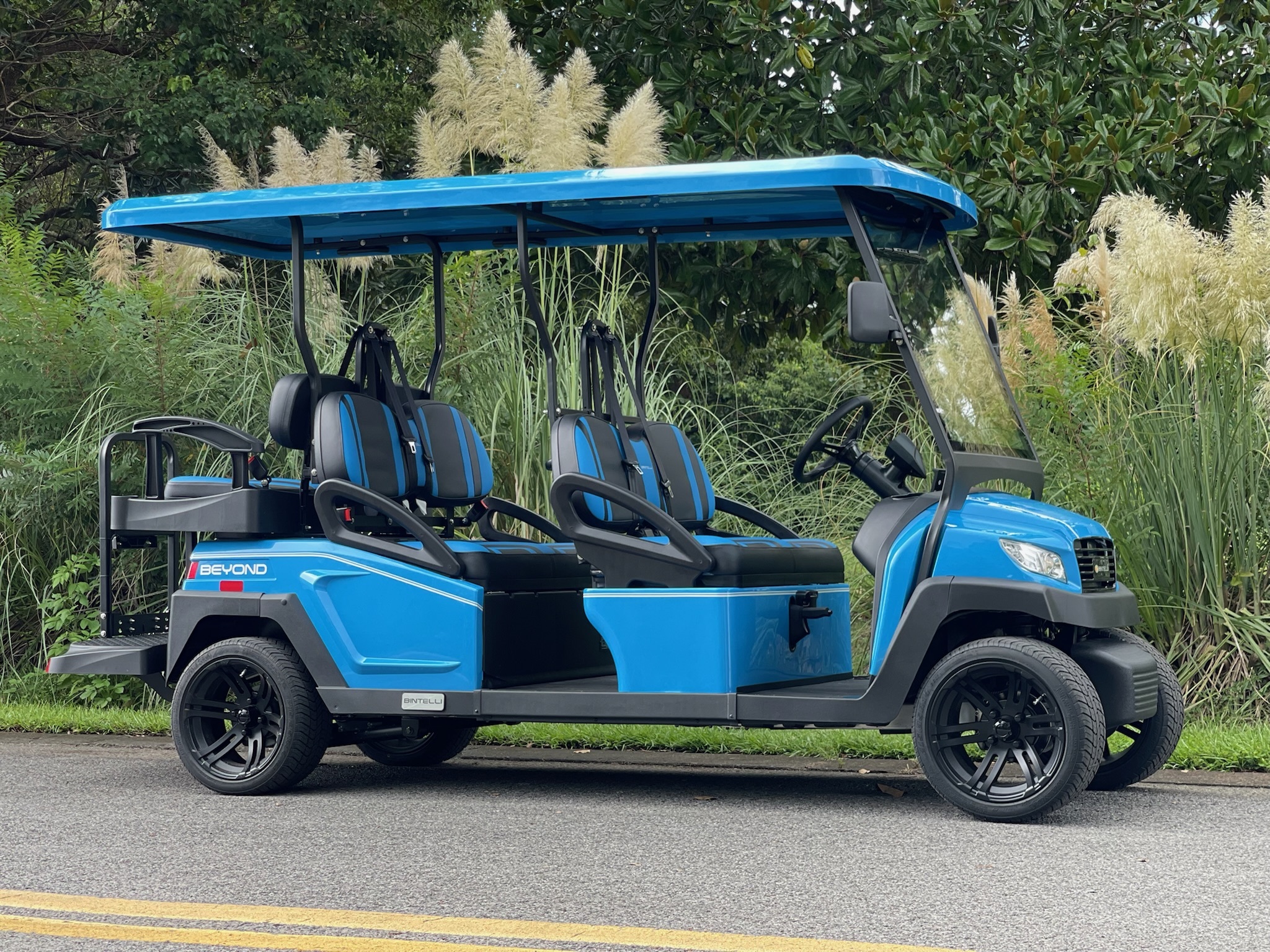 Free golf cart delivery to vacation rentals