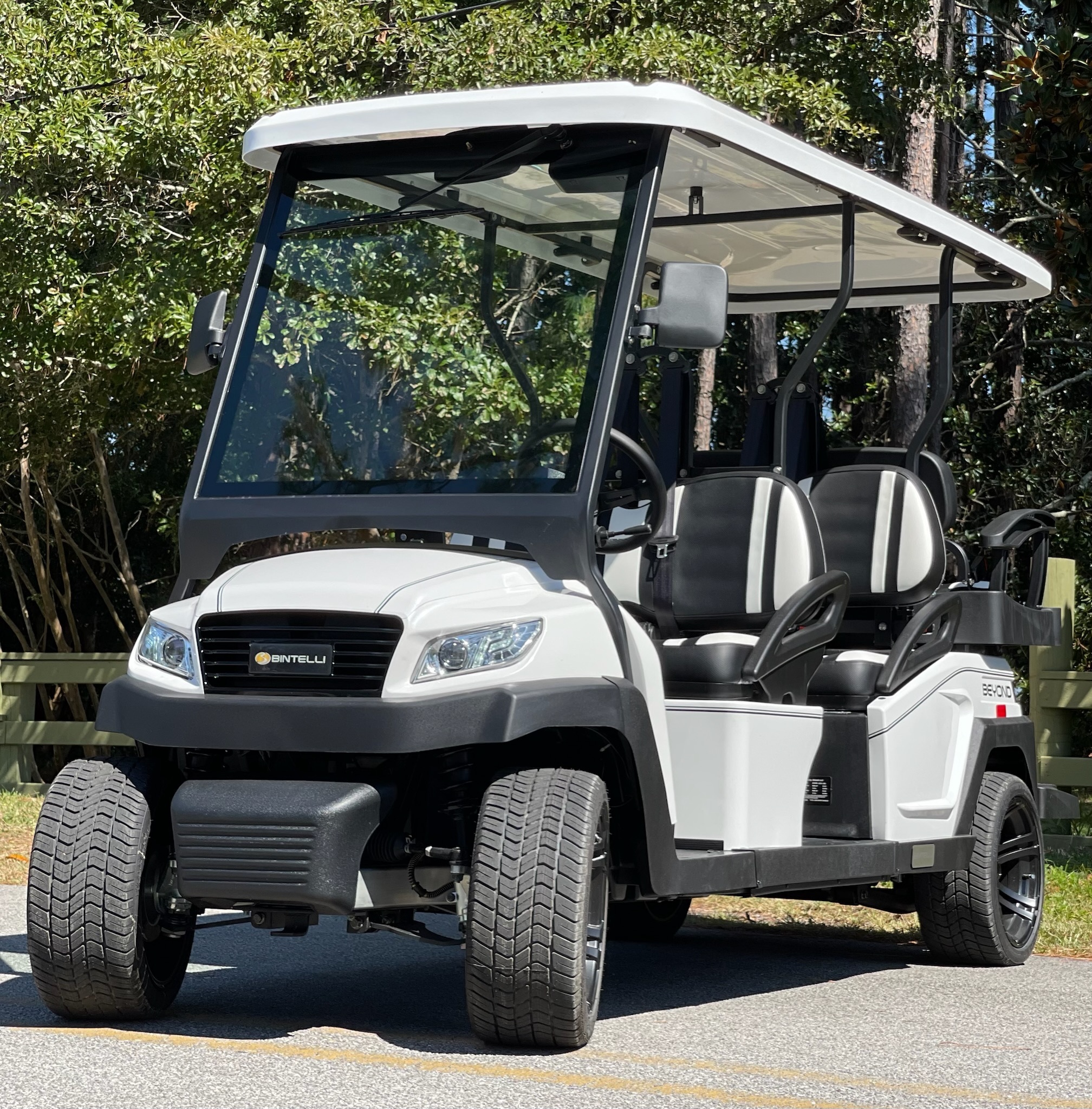 6-seat golf cart rental