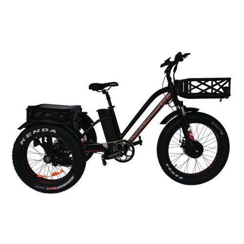 EFBTRIKE 500 L
