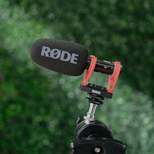Rent Rode VideoMic NTG | DFI Rentals