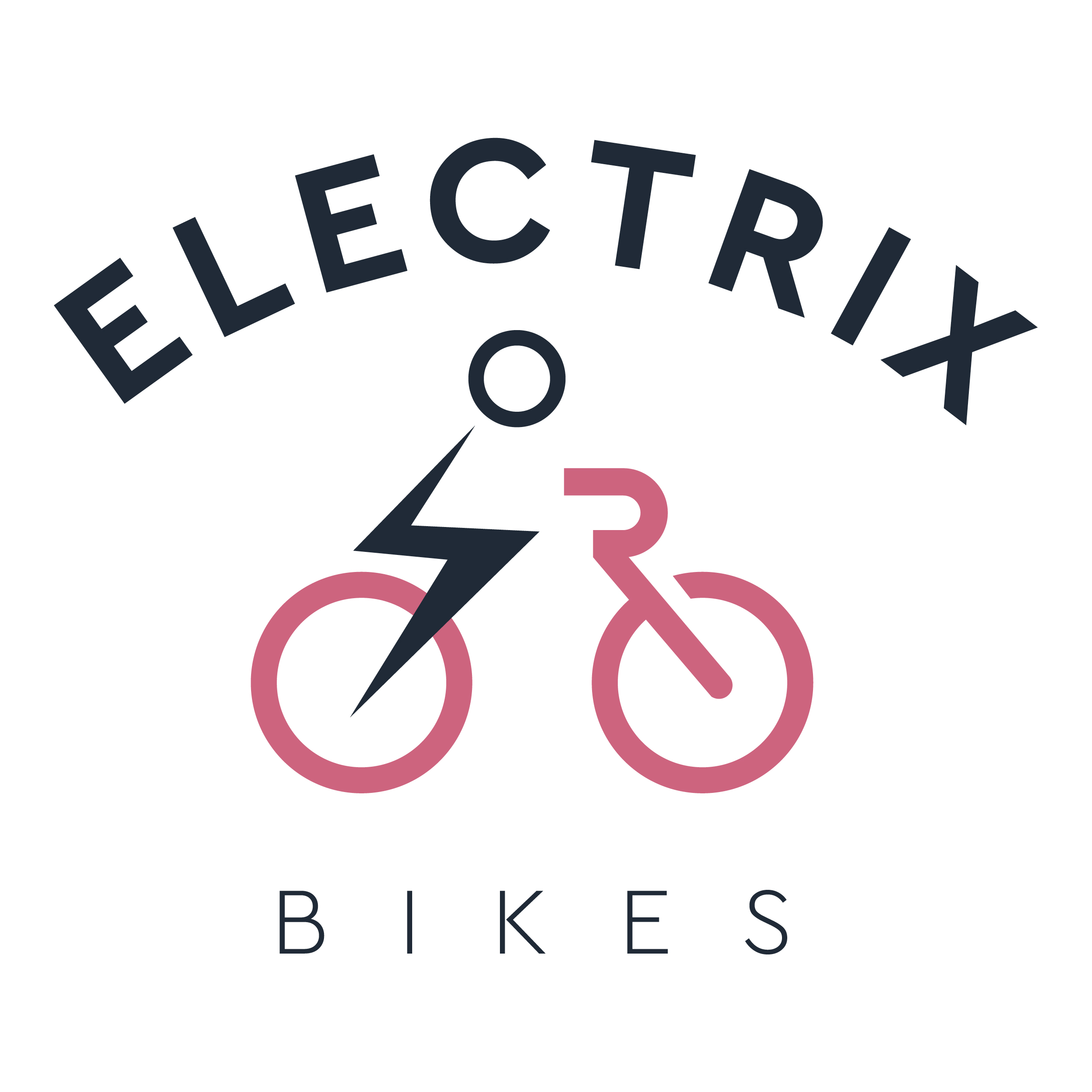 Electrix Bikes